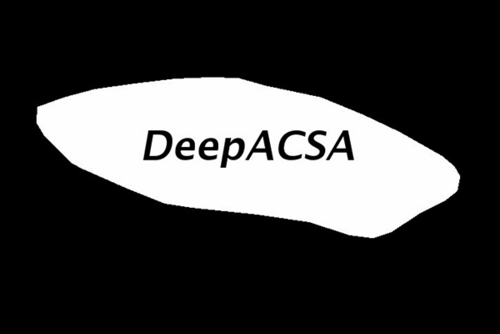DeepACSA